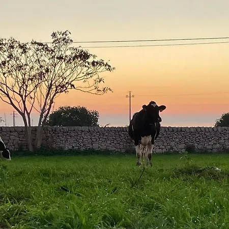 Feriehus La Cascina Di Stefania Ragusa